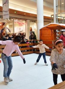 Côté Seine – Patinoire 2014 et 2015