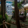 rosny2-jungle-0020